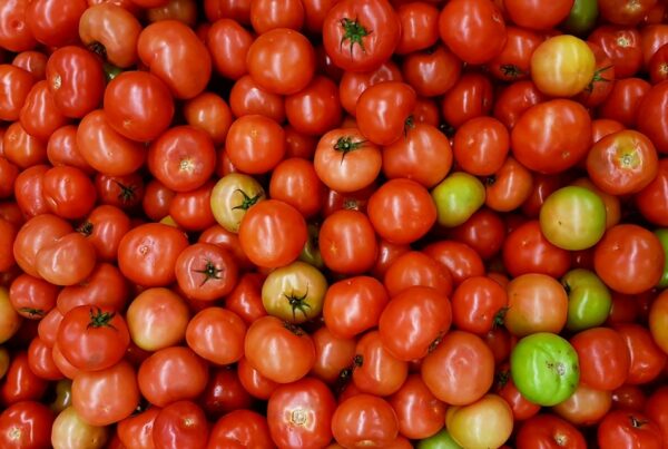 Market Economic Analysis for Processing Tomatoes